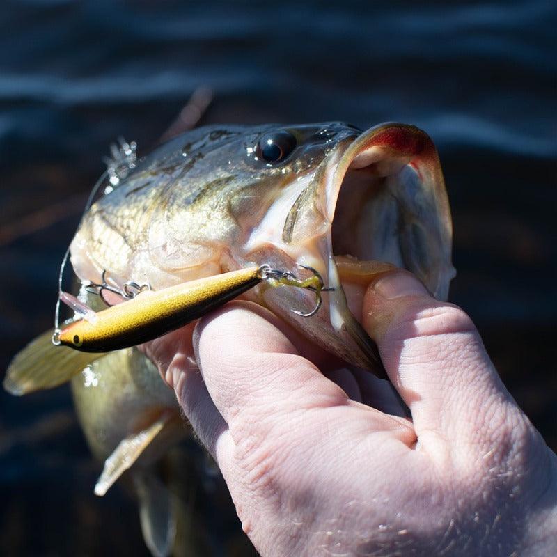 What is the best lure for Bass?