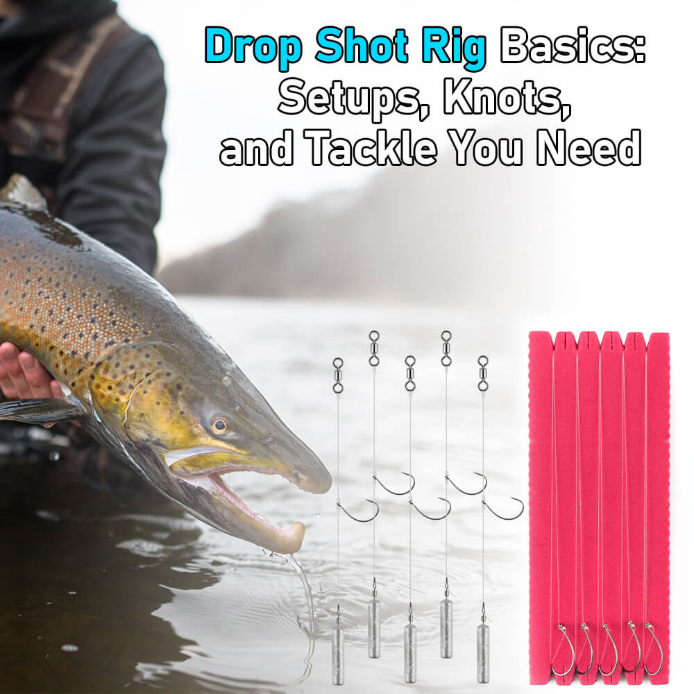 drop-shot-rig