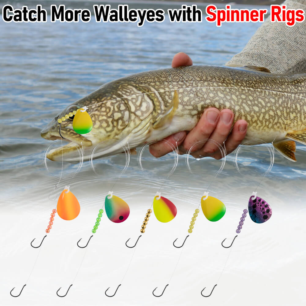 spinner rig