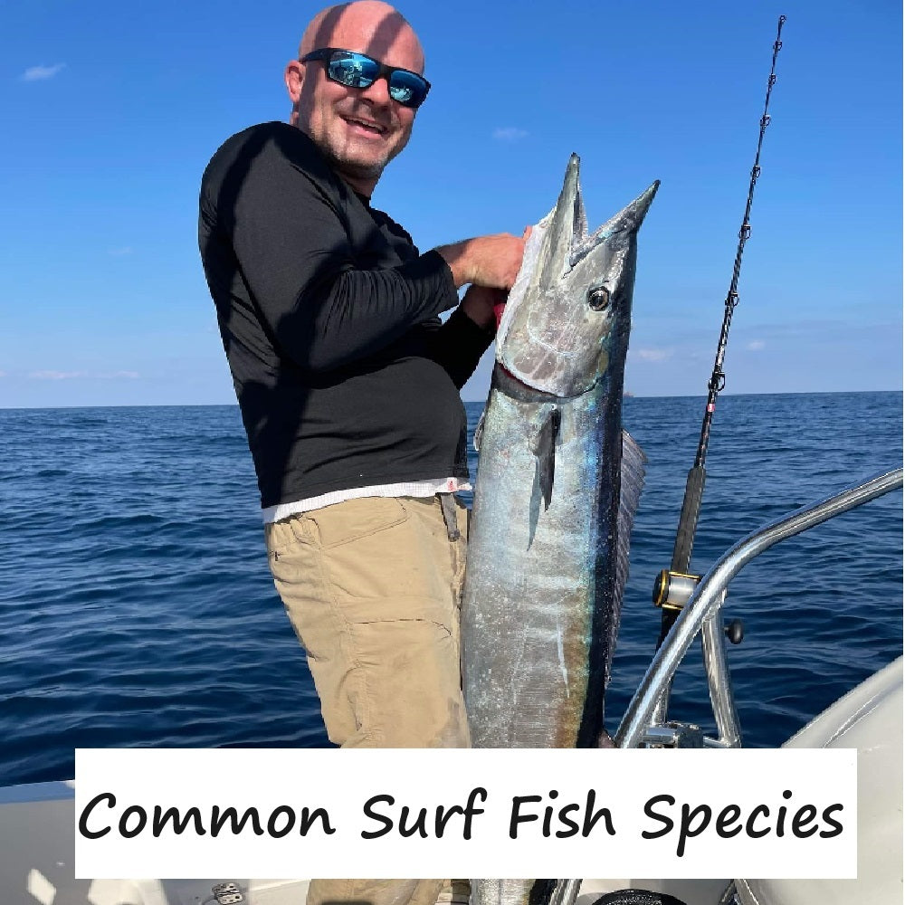 Surf fish species