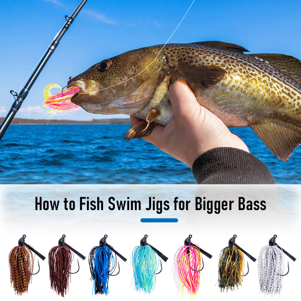 swim jigs