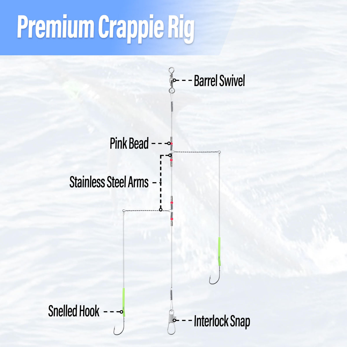 Dr.Fish 10pcs Crappie Rigs with 2 Snelled Aberdeen Hooks