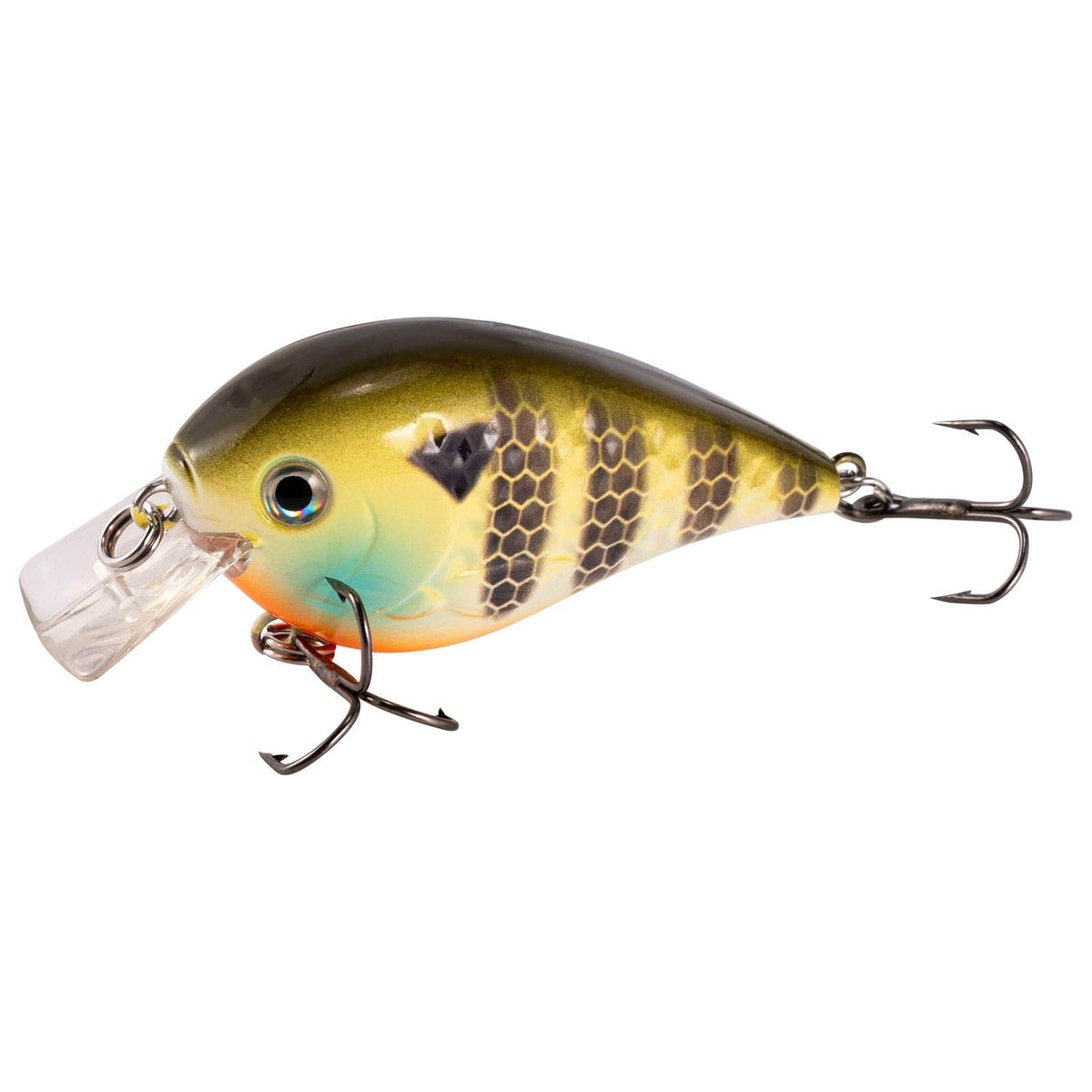 Dr.Fish 5pcs Crankbait Lure kit 1/5oz-3/10oz - Dr.Fish Tackles