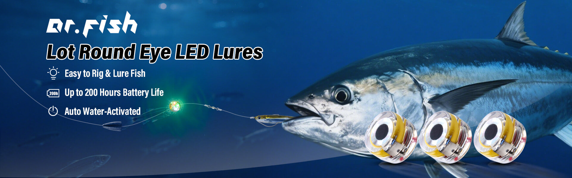 led lure