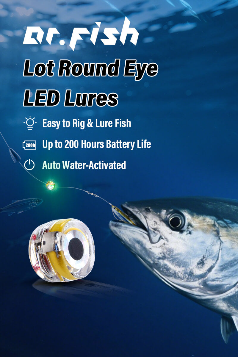 led lure