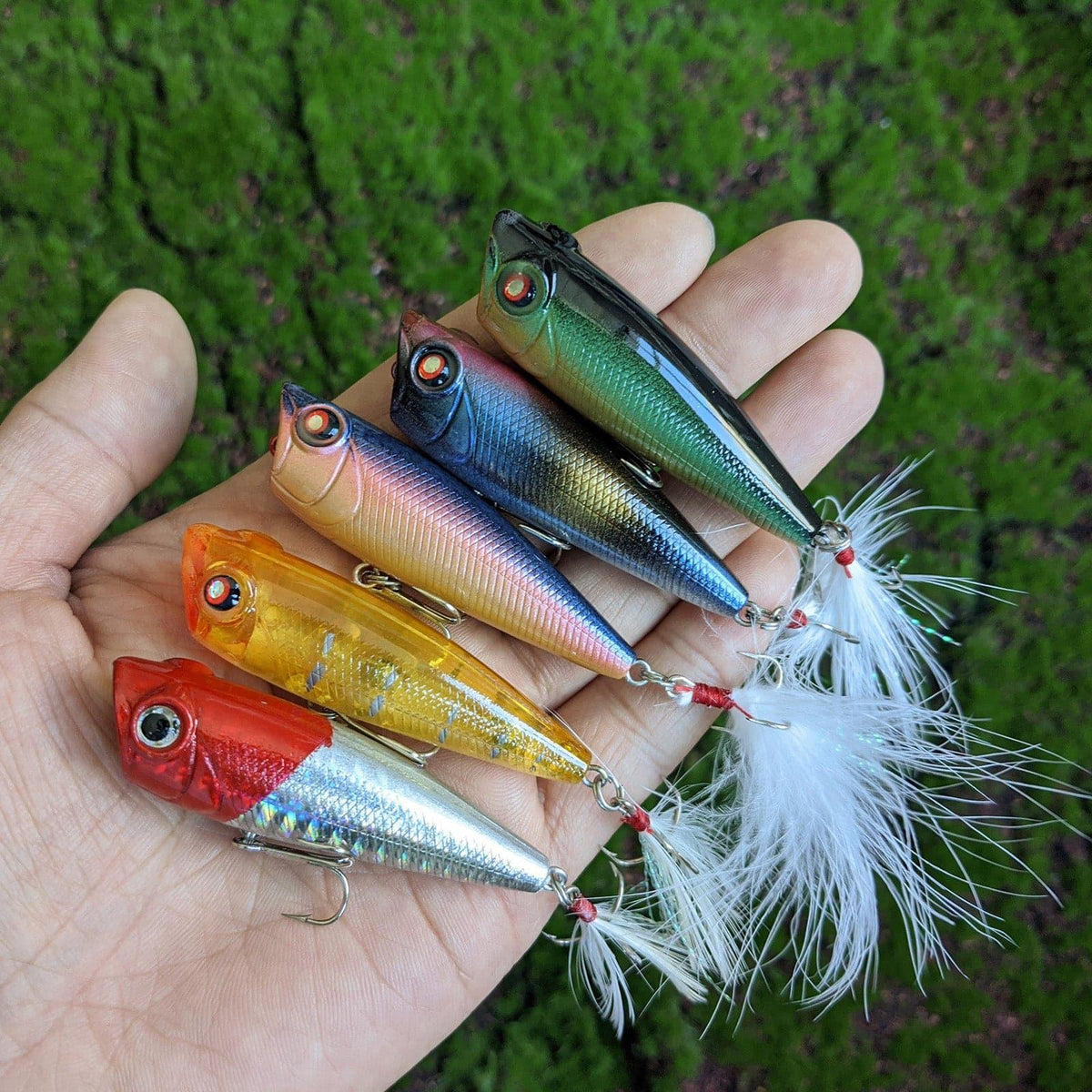 Dr.FisH 5pcs Topwater Popper Lures Kit - Dr.Fish Tackles