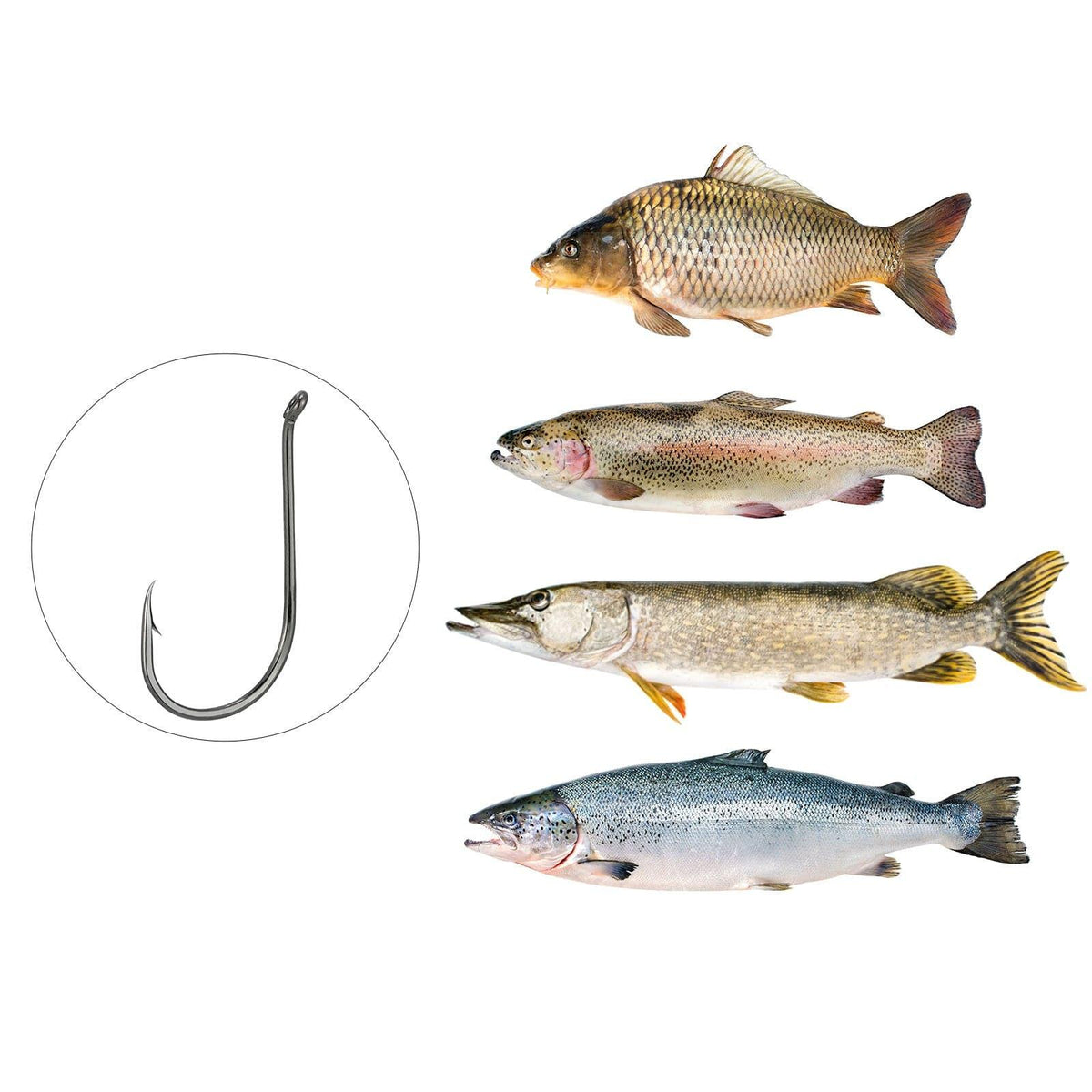 Dr.Fish Top-Rated Octopus Hooks #8 to 9/0 - Dr.Fish Tackles